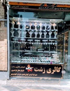 گالری زشت بدلیجات