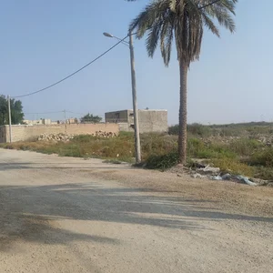 مسجدامام رضا(ع)