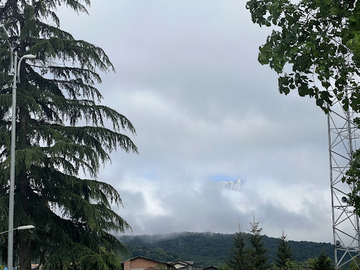 سنگده