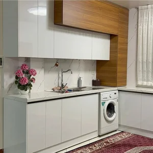 بهروز خلج 2