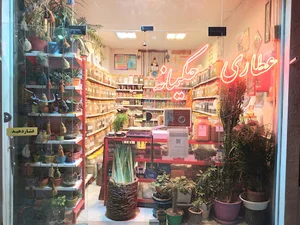 عطاری حکیمانه راد