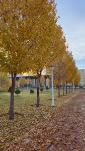 بوستان ترنج 5