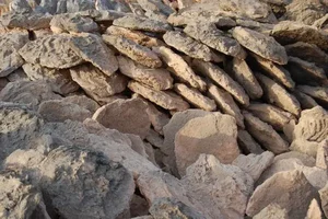 مصالح ساختمانی ساروج