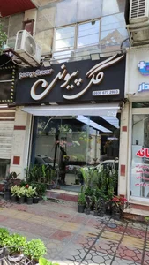 گل پیونی 4