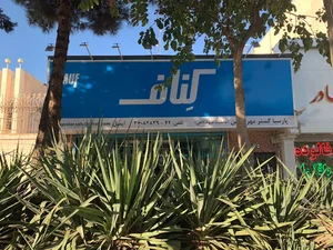 پارسیا کناف