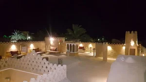 بومگردی شب نشین