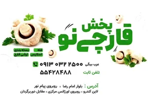پخش قارچینو 2