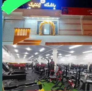 باشگاه بدنسازی ژنتیک