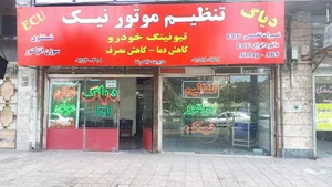 دیاگ تنظیم موتور نیک 3