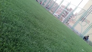 چمن مصنوعی فاز7