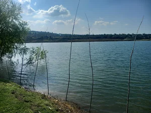 آبندان واسکس