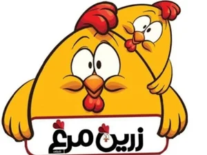 پروتئینی زرین مرغ(نمایندگی کشتارگاه زرین)
