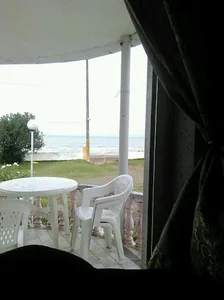 متل پدیده