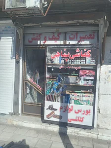 تعمیرات کفش پناهی