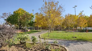 بوستان ارکیده