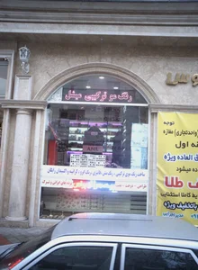 رنگ مو ترکیبی میشل 2