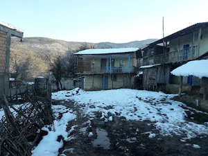 کلبه سبز