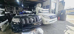 دکتر مایکو