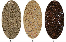 کافه رستری ایوا