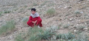 مسجدقمربنی هاشم