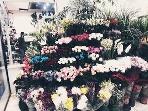 گل آوین شعبه 1