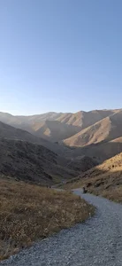 پناهگاه