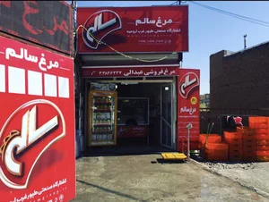 مرغ سالم نمایندگی عبدالی