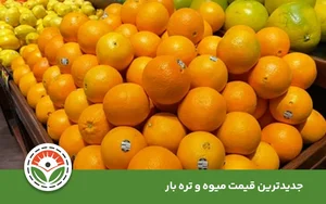 حجره سجاد صفرزاده