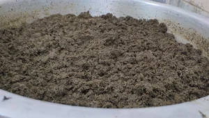 سرخ کده