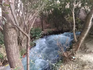 سفرهخانه سنتی دره سبز