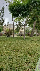 پارک حافظ