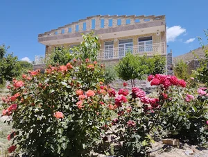 باغ و ویلای برادران نبی لو