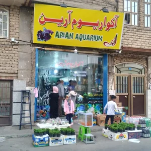آکواریوم آرین 2