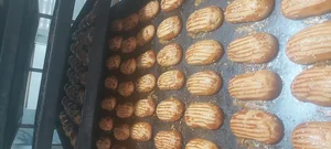 نان فانتزی ثمین 3