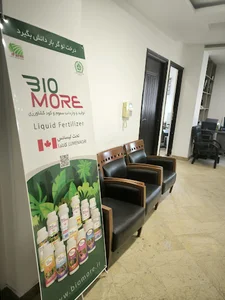 دفتر شرکت بیومور
