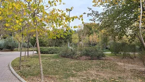 بوستان شب بو