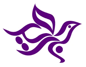 خدمات نرم افزاری جزیره