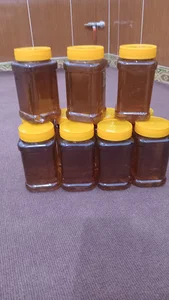 قصابی میثم