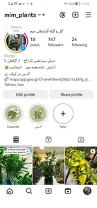 گل و گیاه آپارتمانی میم (پلاک۳۲)