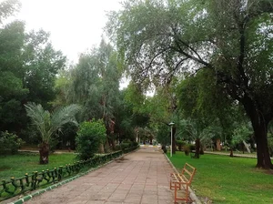 پارک مرکزی