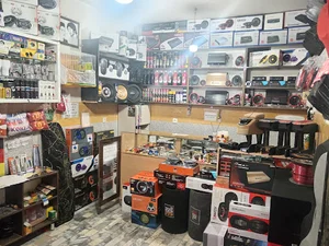 لوکس و سیستم اتو پاسارگاد (مرادی)