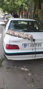 گل بی تا