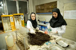 شرکت رامند مجار کمپوست جوانه