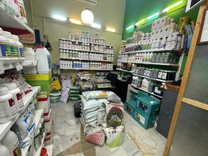 داروخانه گیاه پزشکی رویش سبز هستی (شعبه متل قو)
