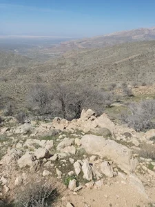 باغو سربره
