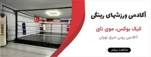 سعید مقدم 3