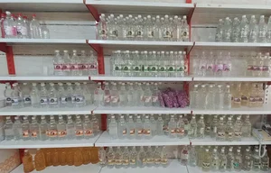 گلابگیری گلشهد قمصر
