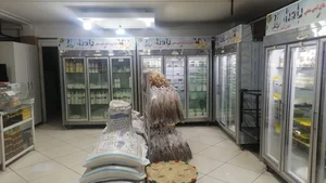 تولید فراوردهای لبنیات سنتی بادنا 3