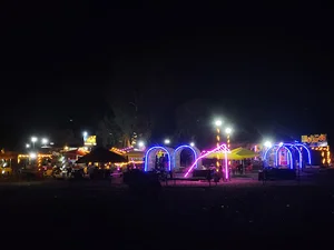 کافه روژان
