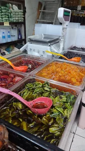 زیتون سرای هادی رضایی